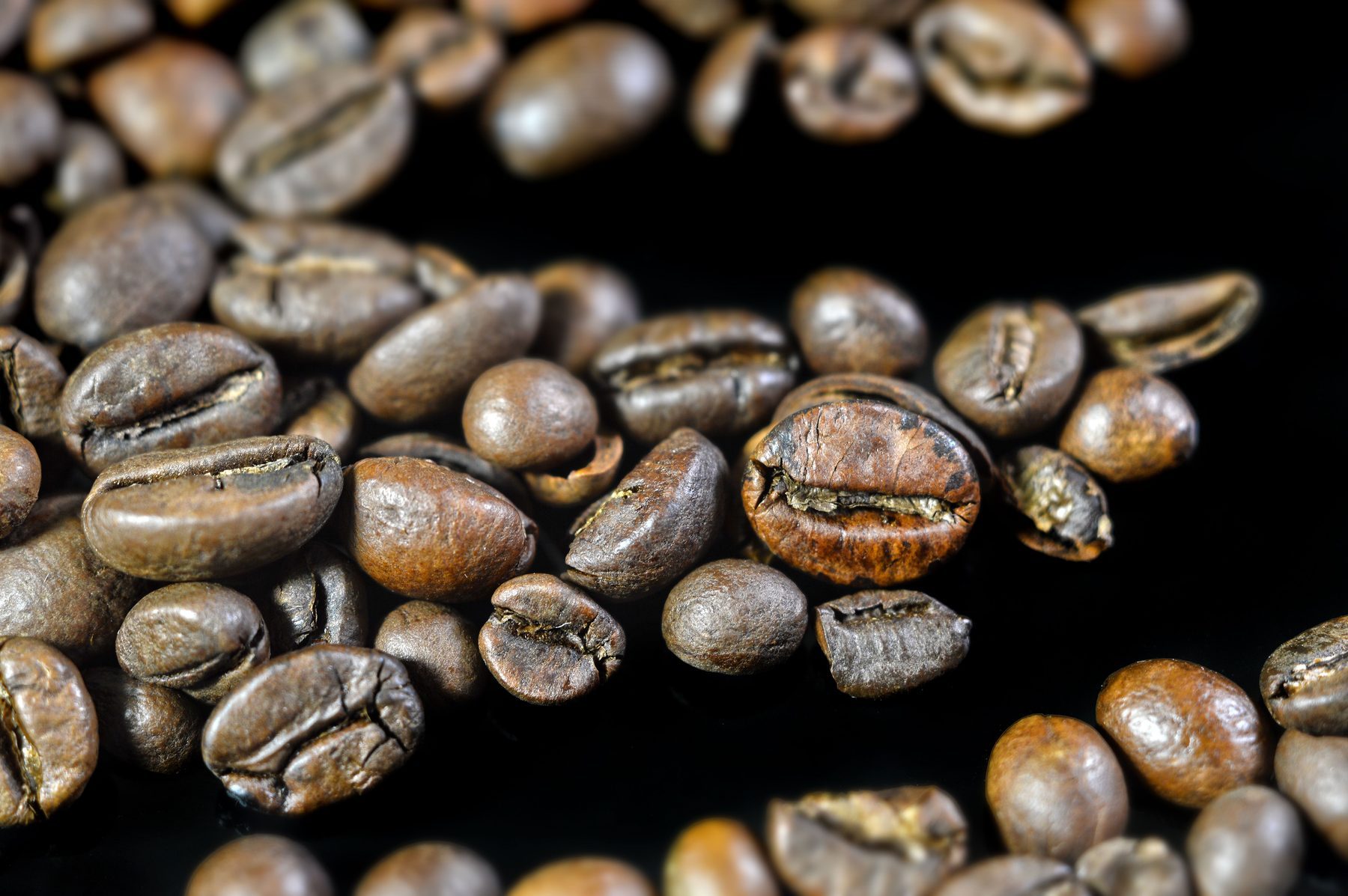 Premium Arabica coffee beans for cafes and private label coffee India