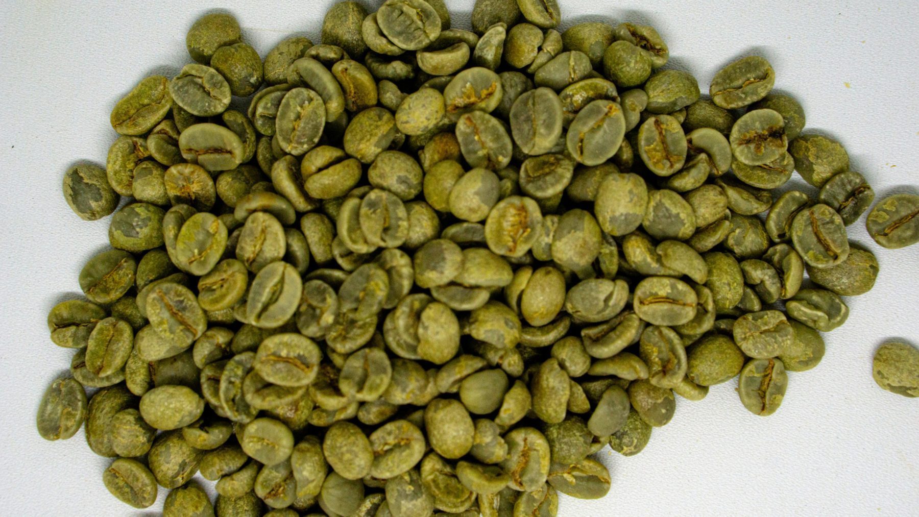 Green coffee beans India sourcing for wholesale and export supply