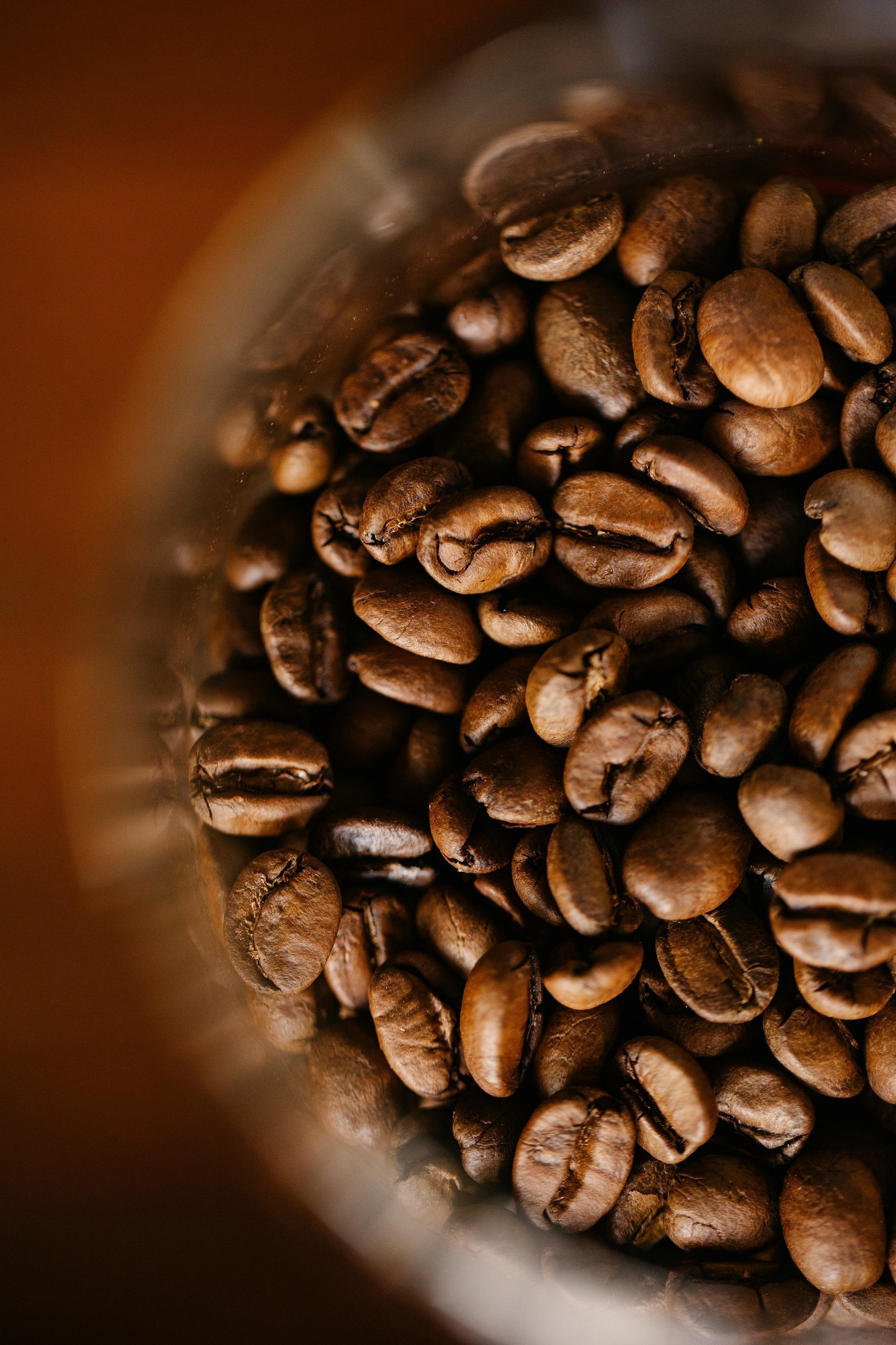 Premium roasted coffee beans for Indian coffee exporters and global buyers