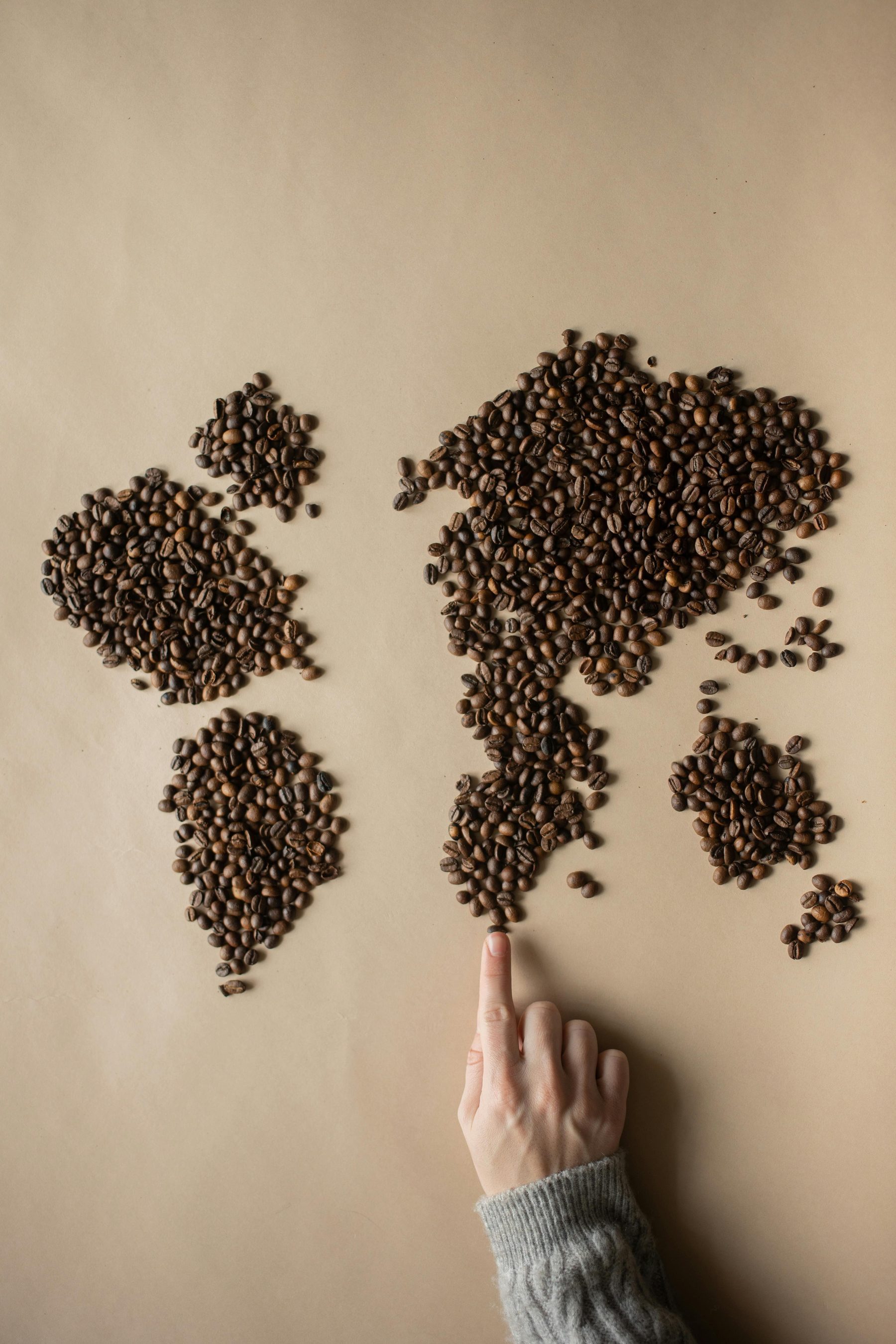 Coffee beans arranged as a world map for Indian coffee exported worldwide