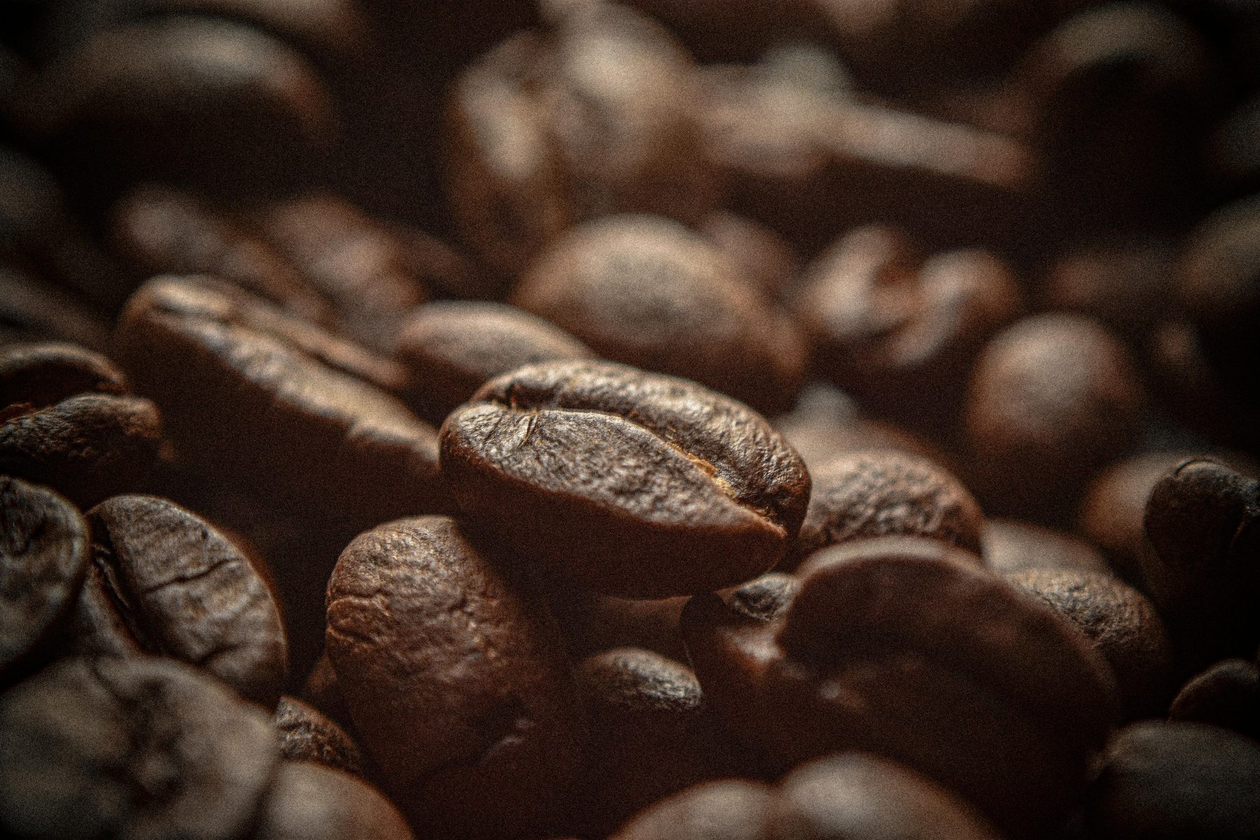 Roasted coffee beans wholesale texture for premium Indian coffee products