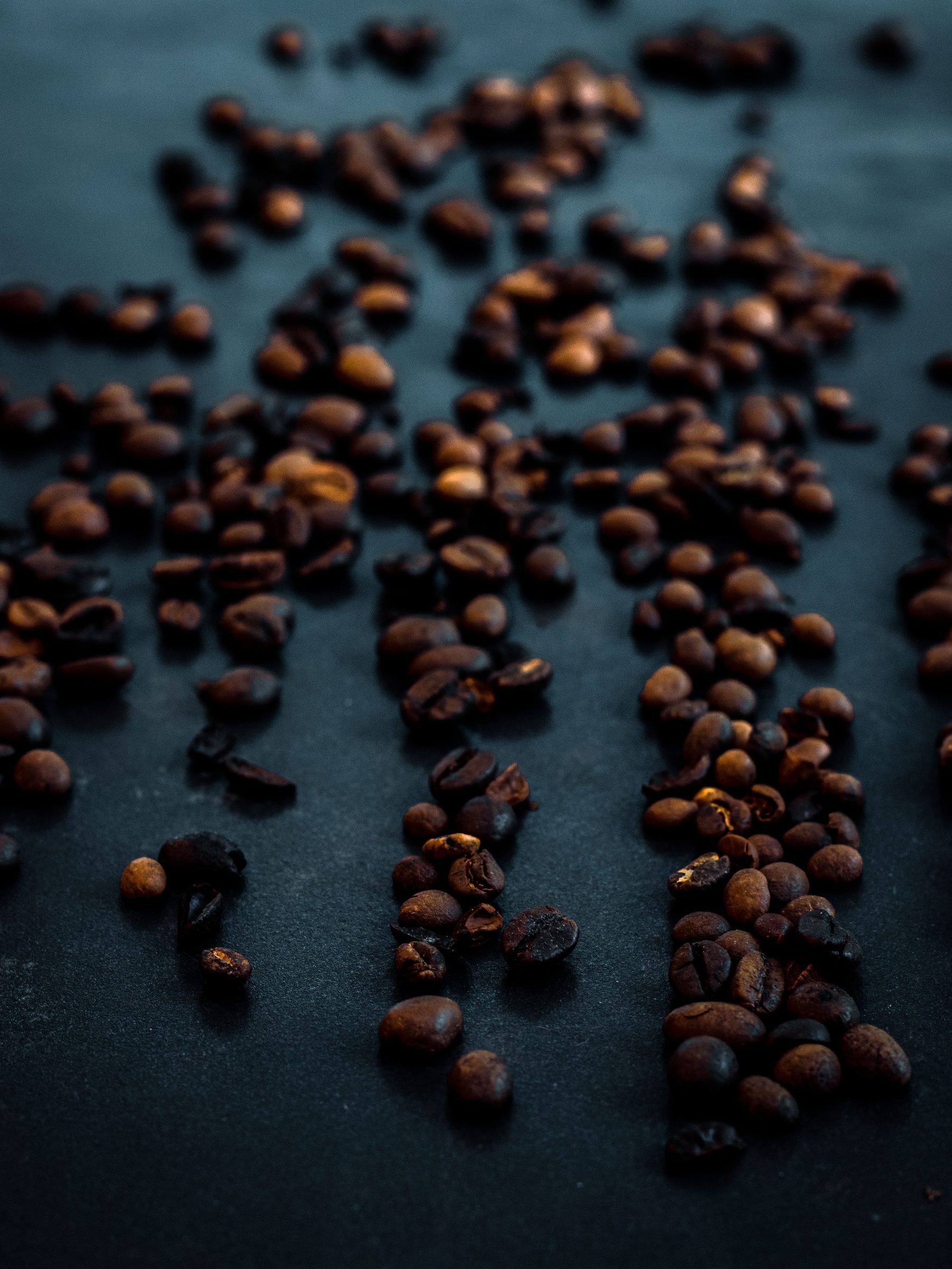 Roasted coffee beans supplier for premium wholesale and retail packs