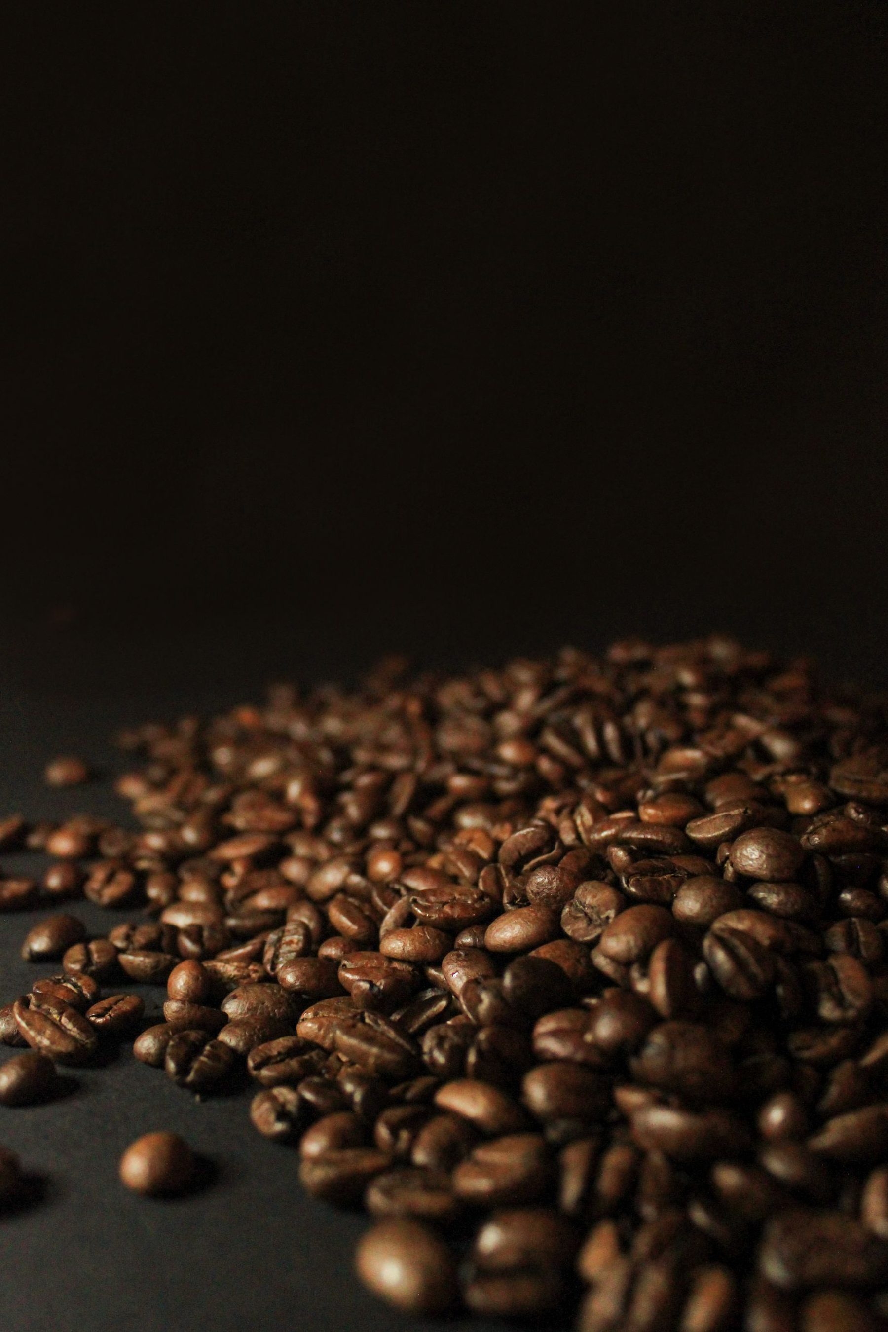 Dark Robusta coffee beans for espresso crema and commercial blends